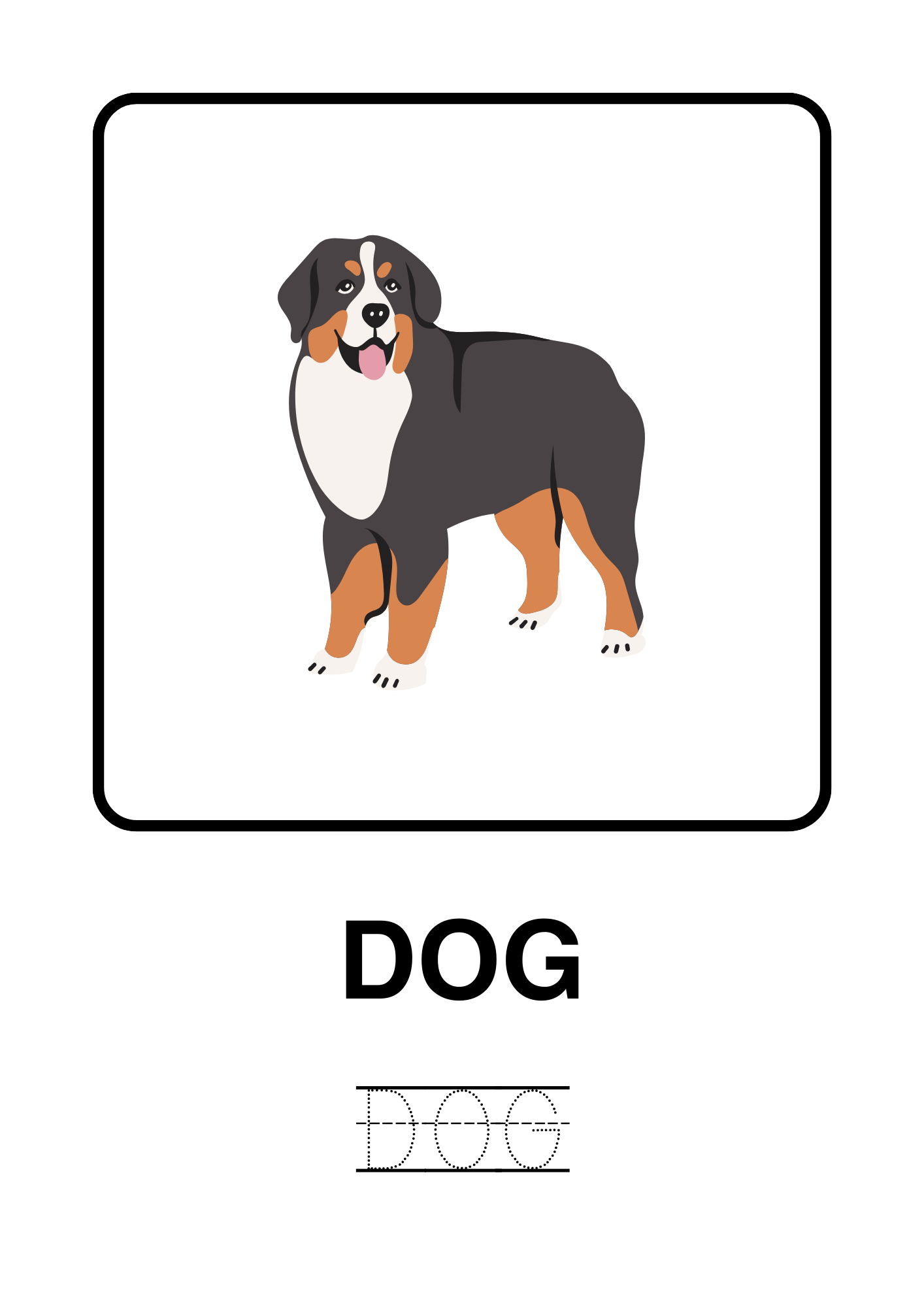 50 Animals Around The World