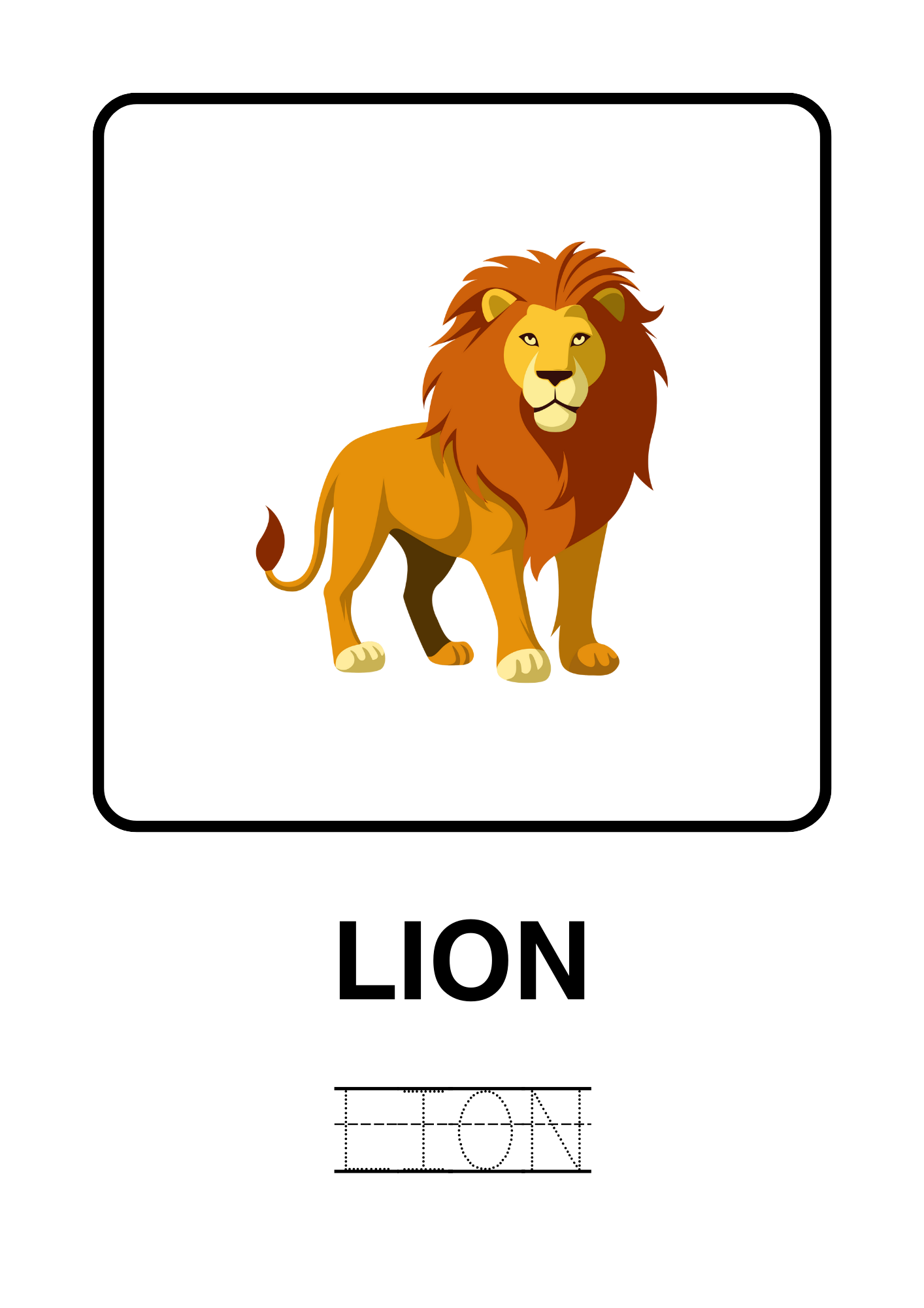 50 Animals Around The World